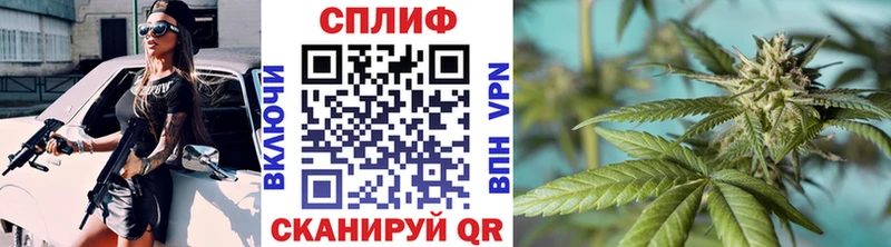 где купить наркотик  Болгар  Каннабис планчик 